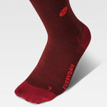 Merino Everyday Socks Men | Bordeaux / Red
