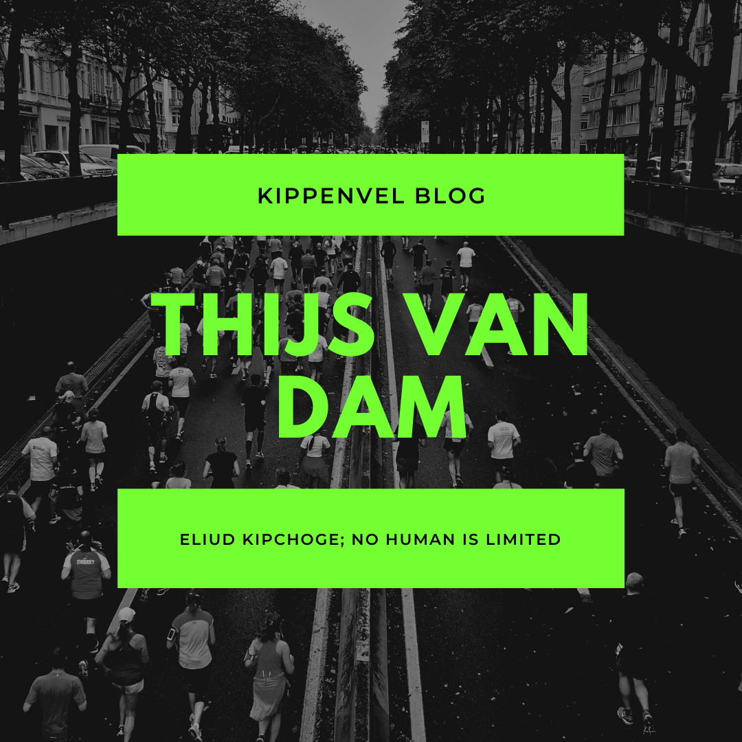 Goosebumps | Thijs van Dam