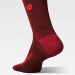 Merino Everyday Socks Men | Bordeaux / Red