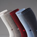 Merino Everyday Socks Men | Bordeaux / Red