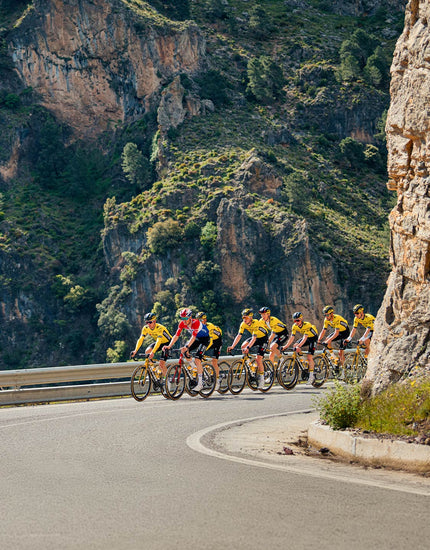 A group of cyclists riding in yellow outfits with mountains in the background.